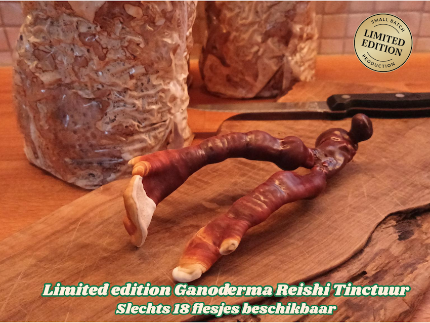 Limited Edition Ganoderma Reishi tinctuur