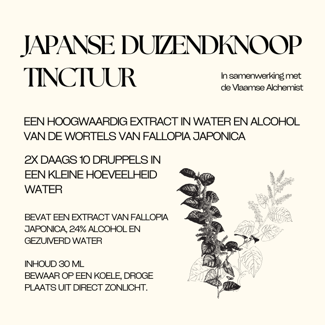Japanse duizendknoop tinctuur